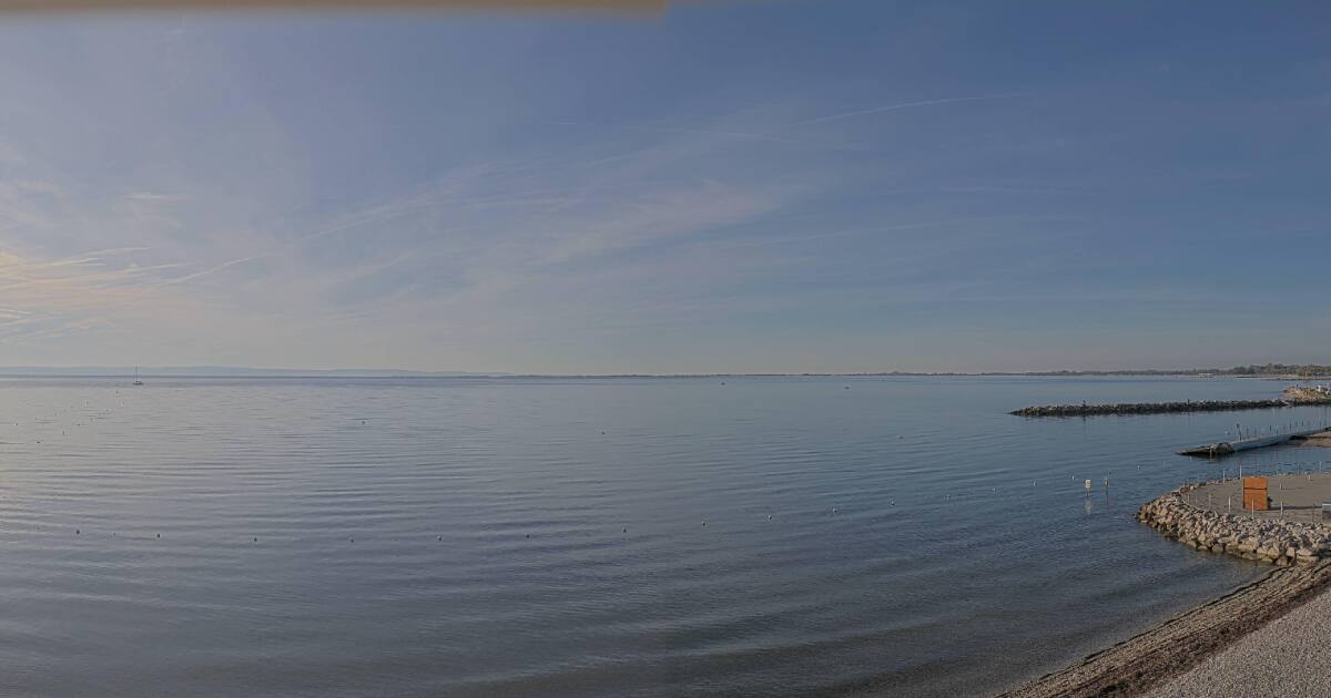 n.d.