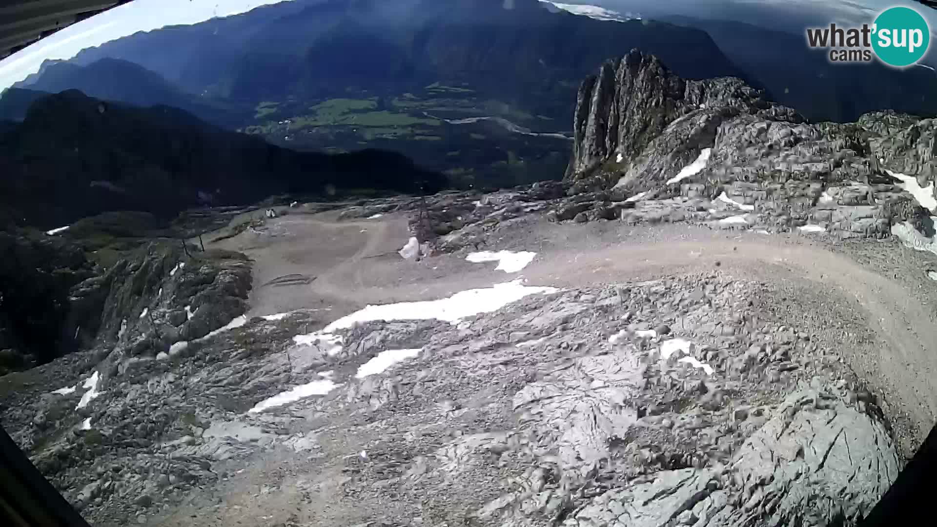 n.d.